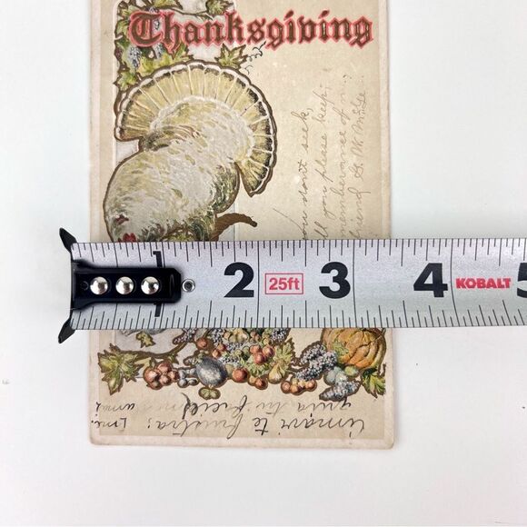 Vintage 1900s THANKSGIVING Postcard White Turkey / Baby with Horn O' Plenty - Picture 3 of 4